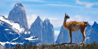 Patagonia