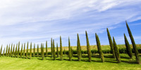 Rome and Tuscany